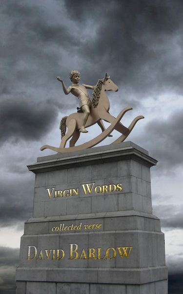 Produktbild: Virgin Words