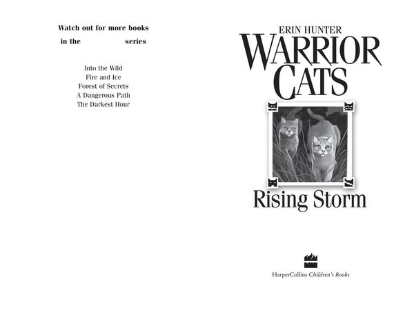Produktbild: Rising Storm
