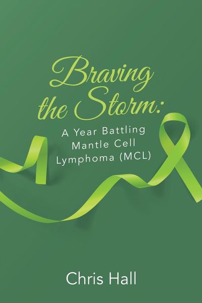 Produktbild: Braving the Storm