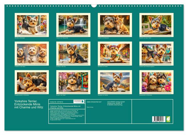 Produktbild: Yorkshire Terrier. Entz&uuml;ckende Minis mit Charme und Witz (Wandkalender 2026 DIN A2 quer), CALVENDO Monatskalender