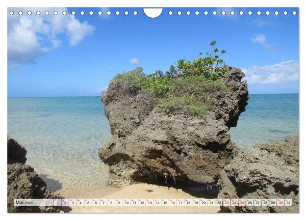 Produktbild: Ishigaki & Miyako - Subtropisches Inselparadies im S&uuml;den Japans (Wandkalender 2026 DIN A4 quer), CALVENDO Monatskalender