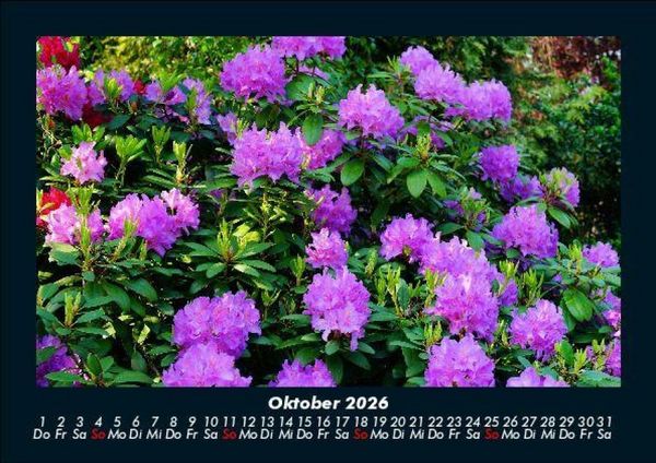 Produktbild: Blumenzauber 2026 Fotokalender DIN A5