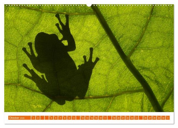 Produktbild: Farbige Fr&ouml;sche (hochwertiger Premium Wandkalender 2026 DIN A2 quer), Kunstdruck in Hochglanz
