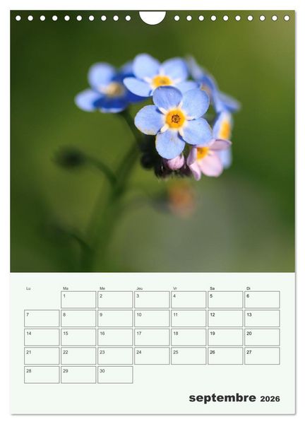 Produktbild: Les fleurs, &eacute;ternelles &eacute;phem&egrave;res (Calendrier mural 2026 DIN A4 horizontal), CALVENDO calendrier mensuel