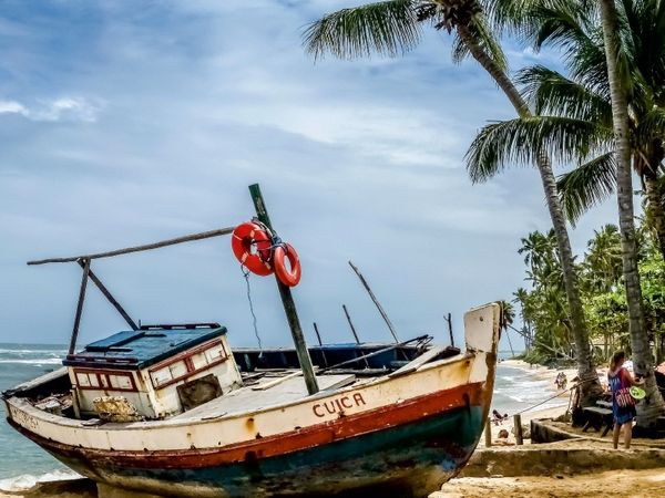 Produktbild: CALVENDO Puzzle Praia do Forte - Costa dos Coqueiros | 1000 Teile Lege-Gr&ouml;&szlig;e 64x48cm Foto-Puzzle f&uuml;r gl&uuml;ckliche Stunden