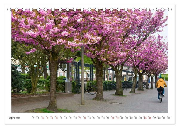 Produktbild: Buntes und bl&uuml;hendes Borkum (Tischkalender 2026 DIN A5 quer), CALVENDO Monatskalender