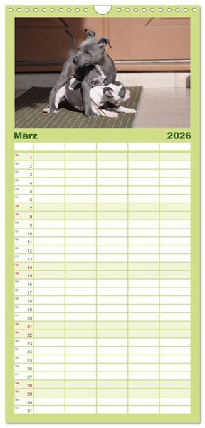 Produktbild: Familienplaner 2026 - American Staff und Co. mit 5 Spalten (Wandkalender, 21 x 45 cm) CALVENDO