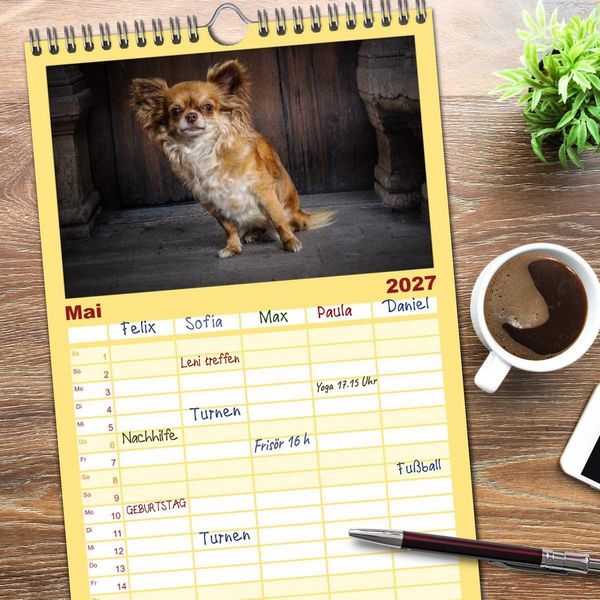 Produktbild: Familienplaner 2027 - Chihuahuas - Cool and Cute mit 5 Spalten (Wandkalender, 21 x 45 cm) CALVENDO
