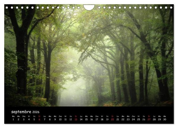 Produktbild: BROCELIANDE, la for&ecirc;t (Calendrier mural 2026 DIN A4 vertical), CALVENDO calendrier mensuel