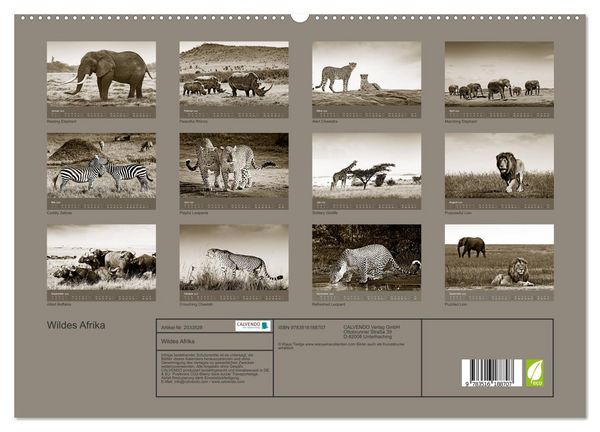 Produktbild: Wildes Afrika (hochwertiger Premium Wandkalender 2026 DIN A2 quer), Kunstdruck in Hochglanz