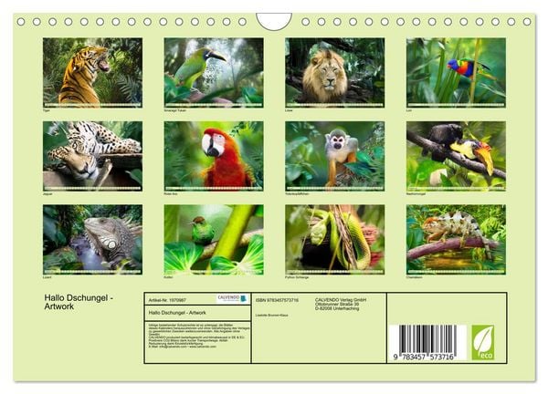 Produktbild: Hallo Dschungel - Artwork (Wandkalender 2026 DIN A4 quer), CALVENDO Monatskalender