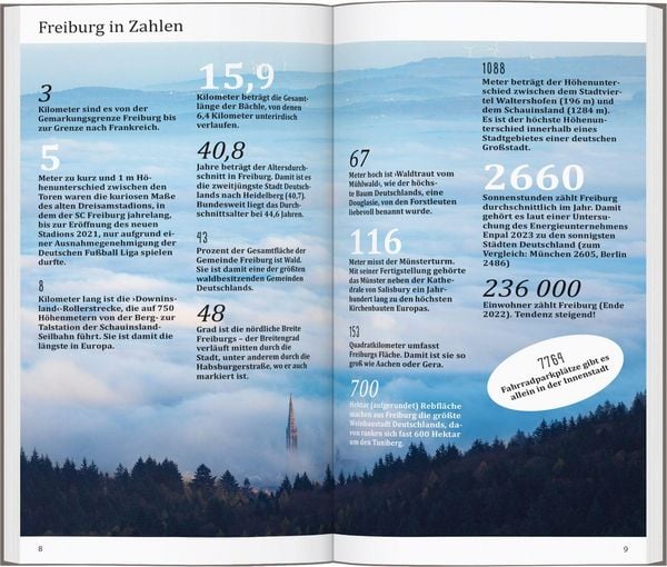 Produktbild: DUMONT direkt Reisef&uuml;hrer Freiburg