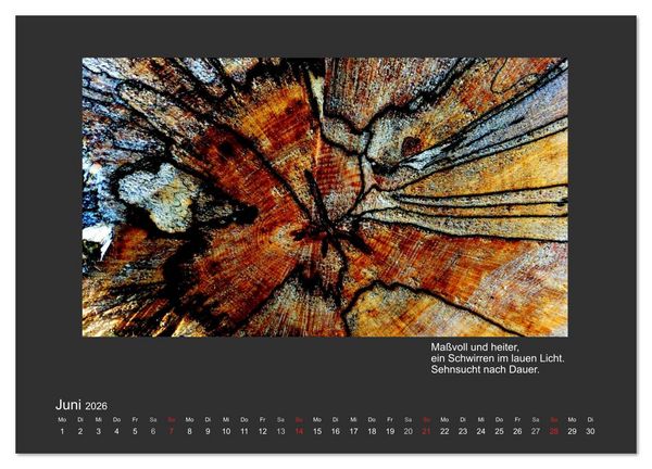 Produktbild: MAGIE HOLZ 2026 (Wandkalender 2026 DIN A4 quer), CALVENDO Monatskalender