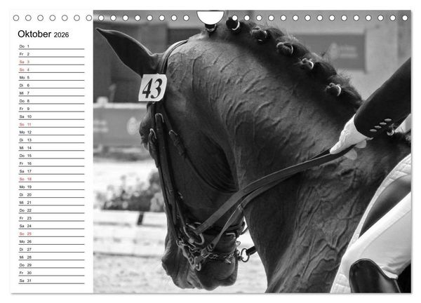 Produktbild: Leidenschaft Pferdesport - Impressionen (Wandkalender 2026 DIN A4 quer), CALVENDO Monatskalender