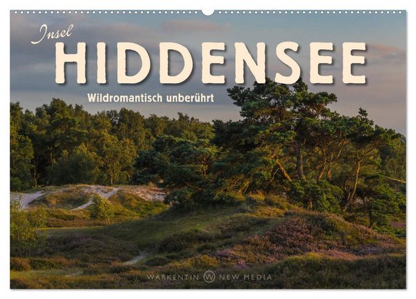 Insel Hiddensee - Wildromantisch unberührt (Wandkalender 2026 DIN A2 quer), CALVENDO Monatskalender
