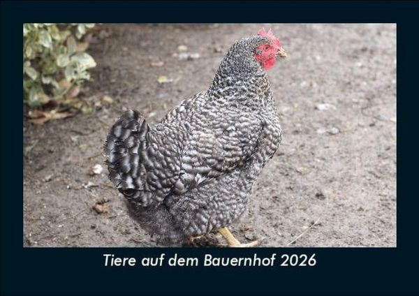 Tiere auf dem Bauernhof 2026 Fotokalender DIN A5