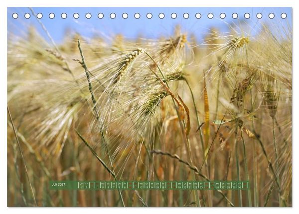 Produktbild: Feldansichten (Tischkalender 2027 DIN A5 quer), CALVENDO Monatskalender