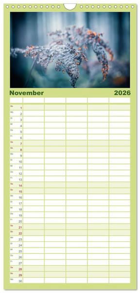Produktbild: Familienplaner 2026 - Farne vom Licht umtanzt mit 5 Spalten (Wandkalender, 21 x 45 cm) CALVENDO