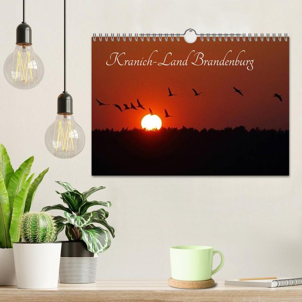 Produktbild: Kranich-Land Brandenburg (Wandkalender 2026 DIN A4 quer), CALVENDO Monatskalender