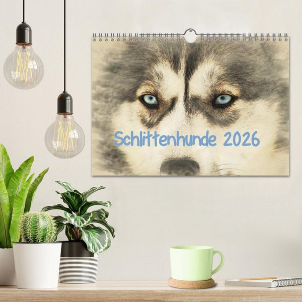 Produktbild: Schlittenhunde 2026 (Wandkalender 2026 DIN A4 quer), CALVENDO Monatskalender