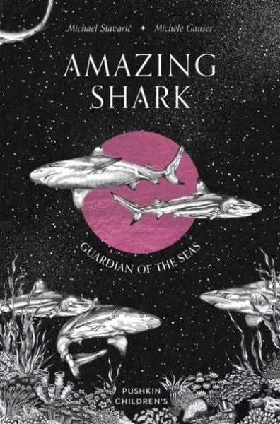 Produktbild: Amazing Shark