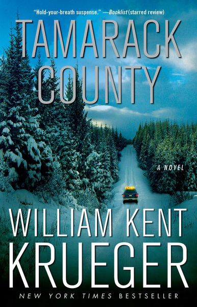 Produktbild: Tamarack County