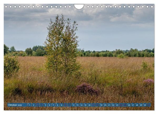 Produktbild: Greetsiel, die ostfriesische Perle und seine Umgebung (Wandkalender 2026 DIN A4 quer), CALVENDO Monatskalender