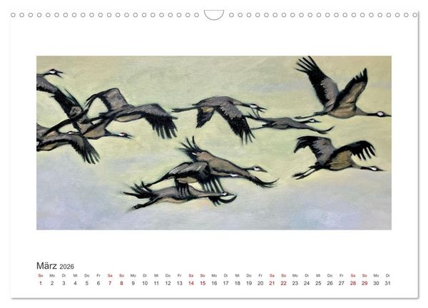 Produktbild: Auf leichten Schwingen - Zugv&ouml;gel (Wandkalender 2026 DIN A3 quer), CALVENDO Monatskalender