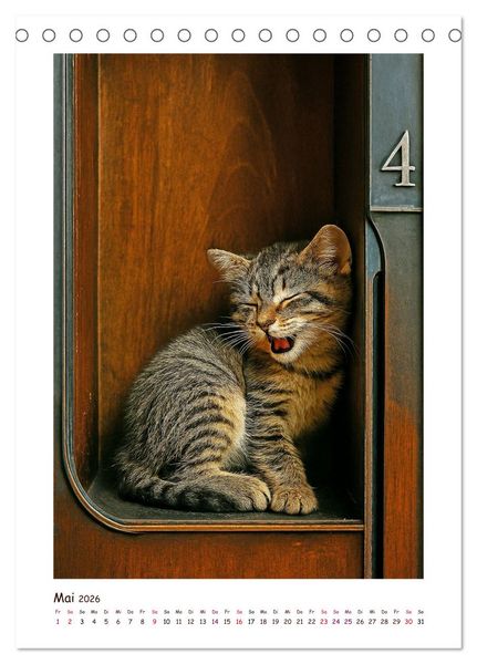 Produktbild: Wer f&auml;hrt denn da? Ein tierisches Paternoster Vergn&uuml;gen (Tischkalender 2026 DIN A5 hoch), CALVENDO Monatskalender