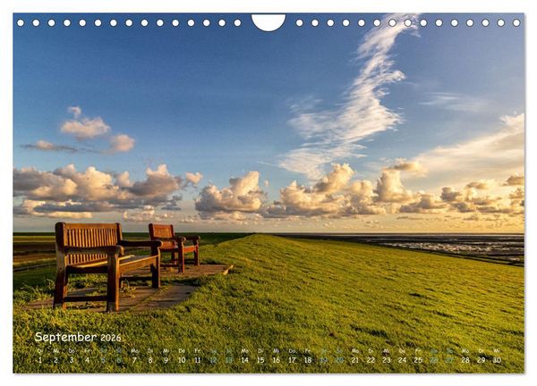 Produktbild: Westk&uuml;ste - Zwischen St. Peter Ording, B&uuml;sum und Elbe (Wandkalender 2026 DIN A4 quer), CALVENDO Monatskalender