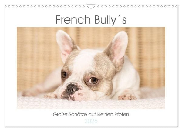 Produktbild: French Bully&acute;s - Gro&szlig;e Sch&auml;tze auf kleinen Pfoten (Wandkalender 2026 DIN A3 quer), CALVENDO Monatskalender