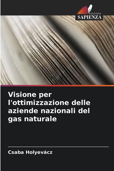 Produktbild: Visione per l'ottimizzazione delle aziende nazionali del gas naturale