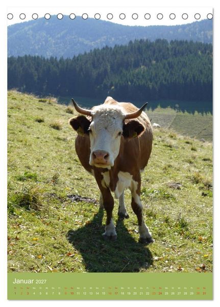 Produktbild: Schwarzwald und K&uuml;he im Hochformat (Tischkalender 2027 DIN A5 hoch), CALVENDO Monatskalender
