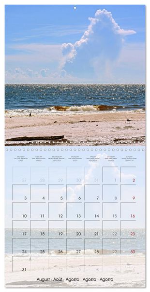 Produktbild: Floride &ndash; D&eacute;couvertes dans l'&Eacute;tat du soleil (Calendrier mural carr&eacute; 2026 30x30 cm) Calendrier double avec une page pour vos prises de notes