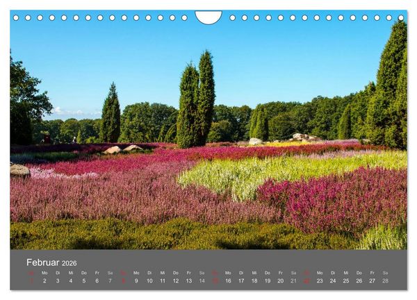 Produktbild: Moor- und Heidelandschaften Niedersachsen (Wandkalender 2026 DIN A4 quer), CALVENDO Monatskalender