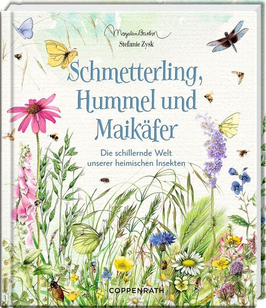Schmetterling, Hummel und Maikäfer, Gebundene Ausgabe von Stefanie Zysk, Coppenrath, 9783649644736