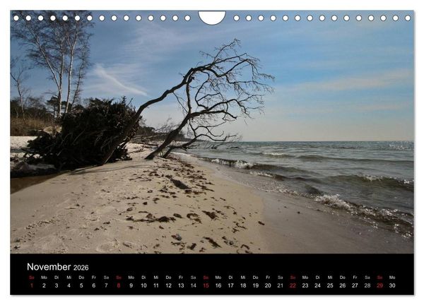 Produktbild: D&auml;nemarks Bornholm 2026 (Wandkalender 2026 DIN A4 quer), CALVENDO Monatskalender