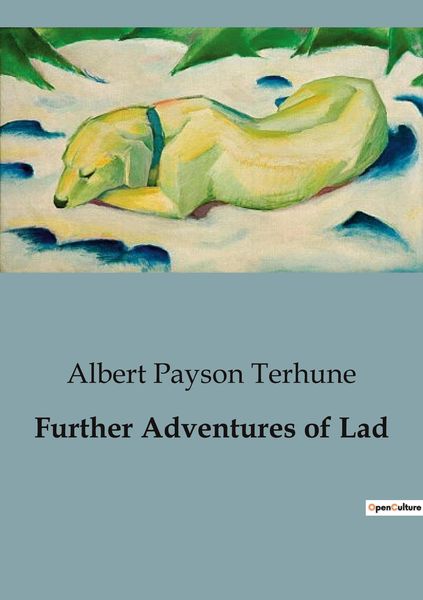 Produktbild: Further Adventures of Lad