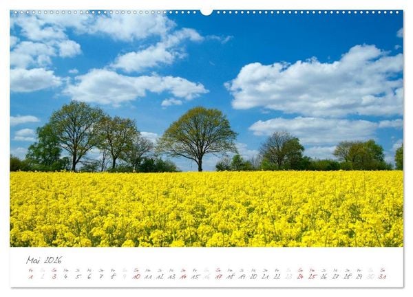 Produktbild: "Landarzt" - Pl&auml;tze an Schlei und Ostsee (Wandkalender 2026 DIN A2 quer), CALVENDO Monatskalender