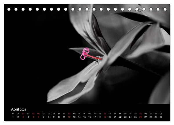 Produktbild: Farbtupfer (Tischkalender 2026 DIN A5 quer), CALVENDO Monatskalender