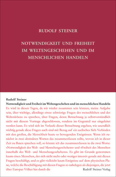 Produktbild: Notwendigkeit und Freiheit im Weltengeschehen und im menschlichen Handeln