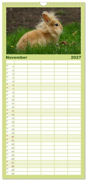 Produktbild: Familienplaner 2027 - Liebenswerte Zwergkaninchen mit 5 Spalten (Wandkalender, 21 x 45 cm) CALVENDO