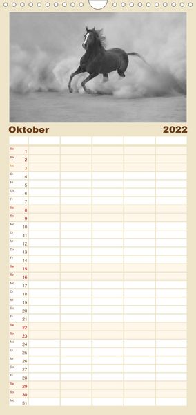 Produktbild: Familienplaner Arabische Pferde (Wandkalender 2022 , 21 cm x 45 cm, hoch)