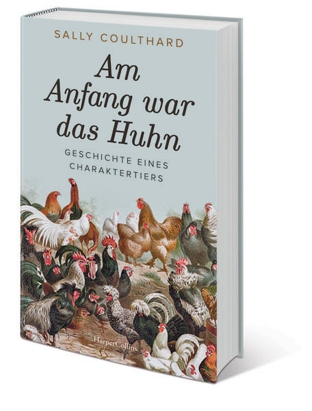 Produktbild: Am Anfang war das Huhn. Geschichte eines Charaktertiers