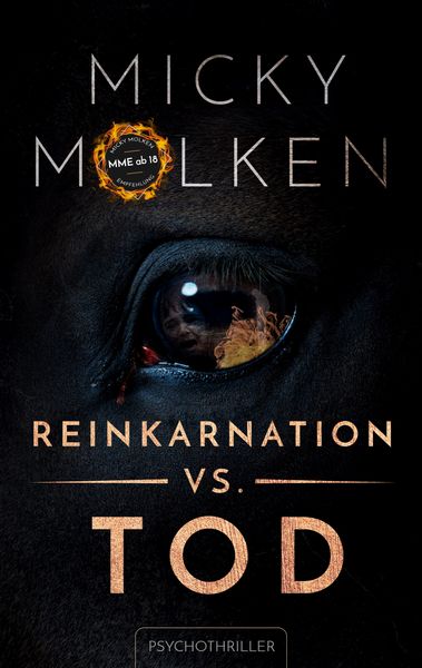 Reinkarnation vs. Tod, Taschenbuch von Micky Molken, BoD – Books on Demand, 9783758365584