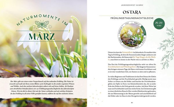 Produktbild: Zaubernuss und Waldmagie &ndash; Naturmomente f&uuml;r deine Seele