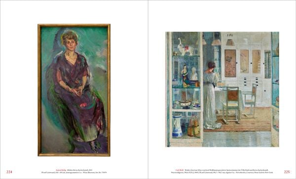 Produktbild: Gustav Klimt und die Medizin