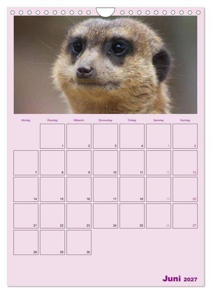 Produktbild: Erdm&auml;nnchen / Terminplaner (Wandkalender 2027 DIN A4 hoch), CALVENDO Monatskalender