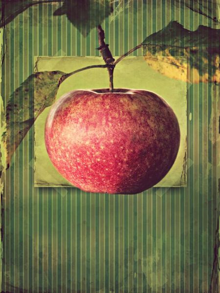 Produktbild: CALVENDO Puzzle Apfel im vintagelook | 1000 Teile Lege-Gr&ouml;&szlig;e 64x48cm Foto-Puzzle f&uuml;r gl&uuml;ckliche Stunden