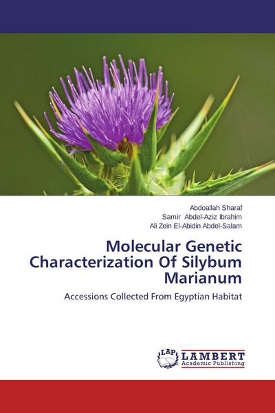 Produktbild: Molecular Genetic Characterization Of Silybum Marianum